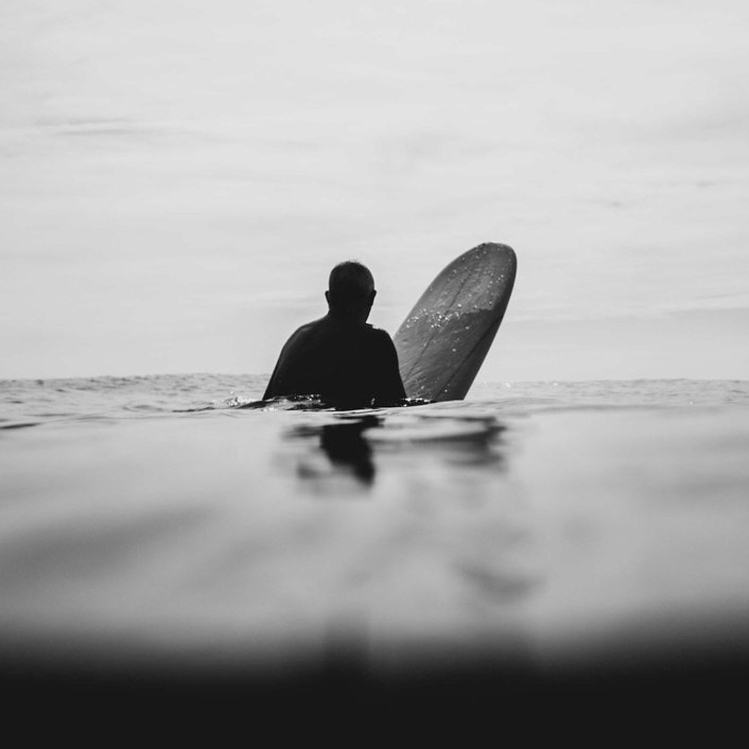 MikeWhisnant_Surfer/ShaperBuild
